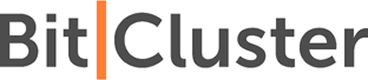 BitCluster